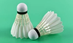 Cầu Lông Tại Blue88