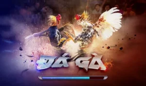 Đá Gà 3D Tại Blue88