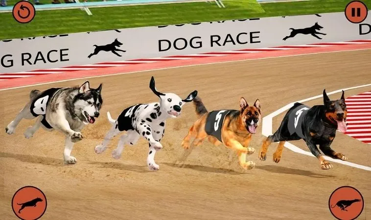 Tuyệt Chiêu Cách Chơi Game Nhanh Đua Chó Tại Blue88 Giúp Bạn Về Bờ 2 Cách chơi game nhanh Đua Chó Tại Blue88