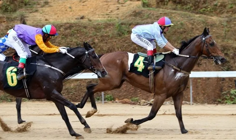 Bí Mật Tìm Hiểu Cá Cược Đua Ngựa Blue88 Kịch Tính Thưởng Lớn Mỗi Ngày 2 Cần tìm hiểu kỹ về bộ môn đua ngựa Blue88 trước khi tham gia cá cược